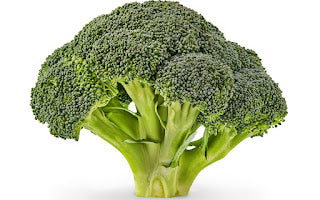 Fresh Broccoli